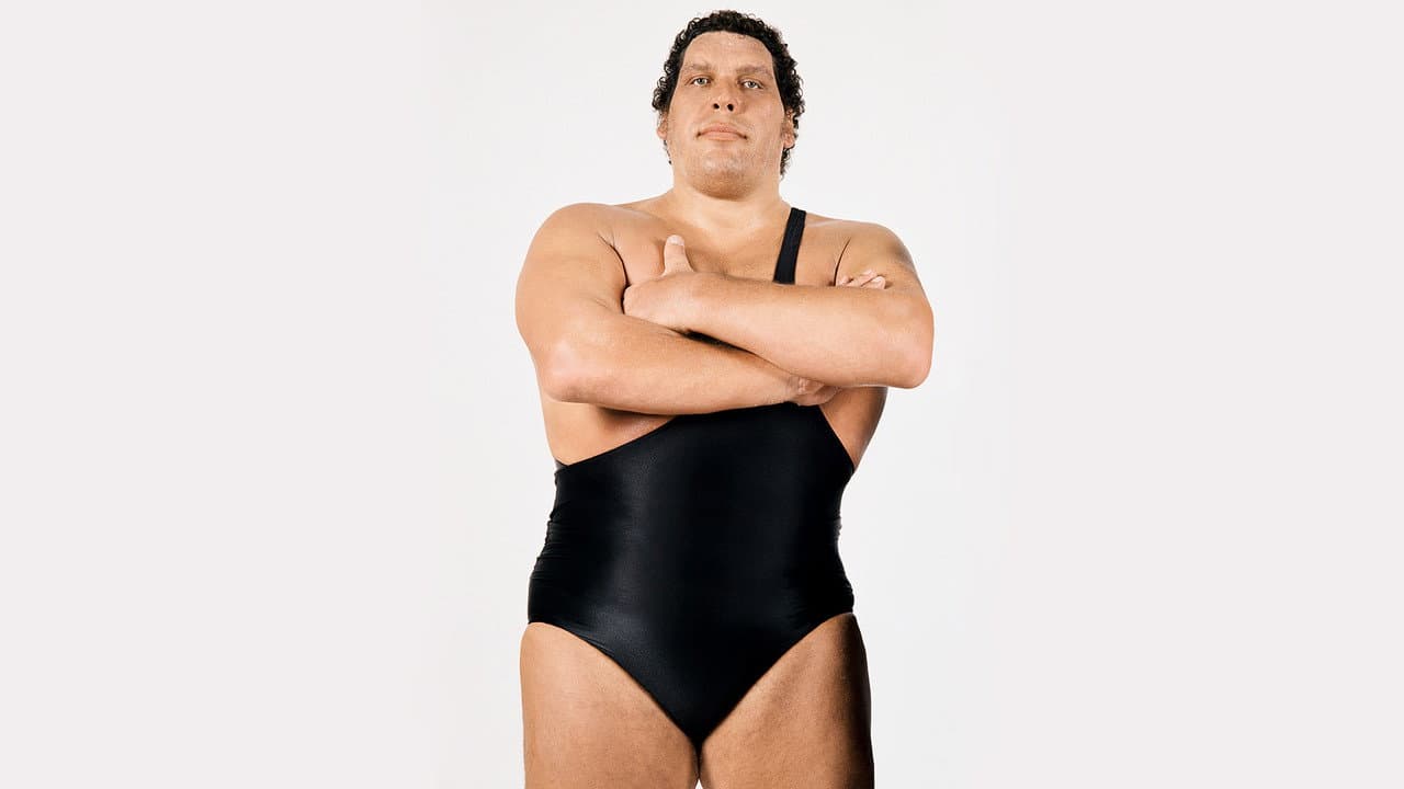 Andre the Giant still 7