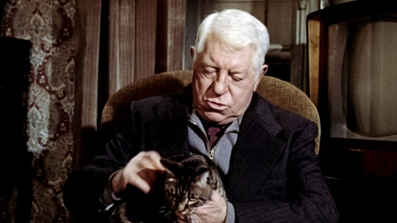 The Cat still 8