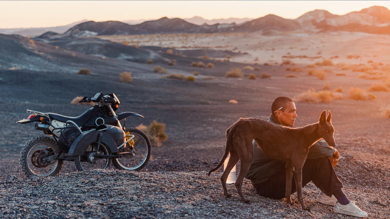 Black Dog still 6