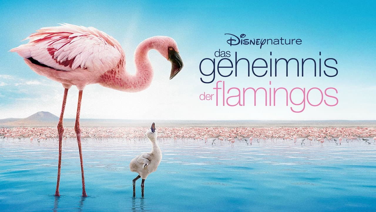 The Crimson Wing: Mystery of the Flamingos still 1