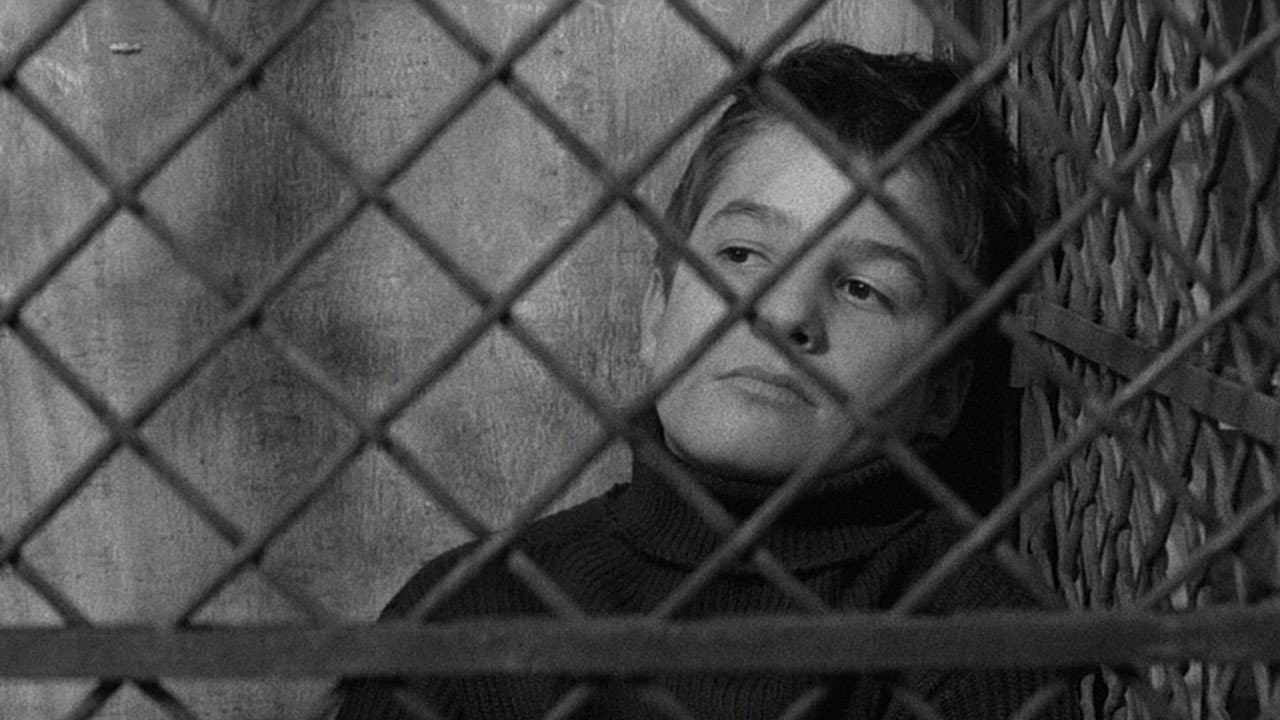 The 400 Blows still 5