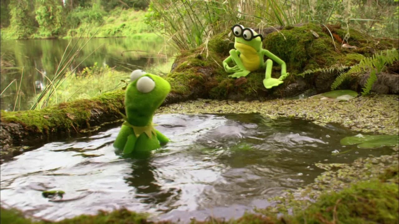 Kermit's Swamp Years still 2