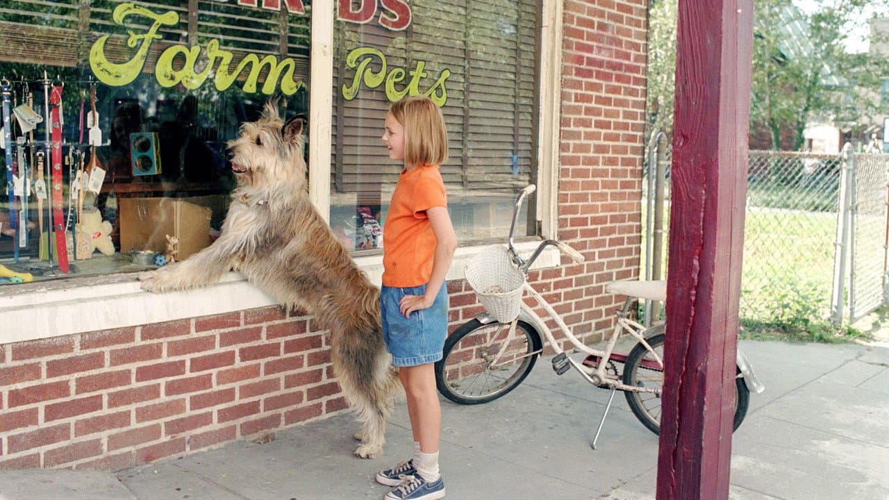 Because of Winn-Dixie still 6