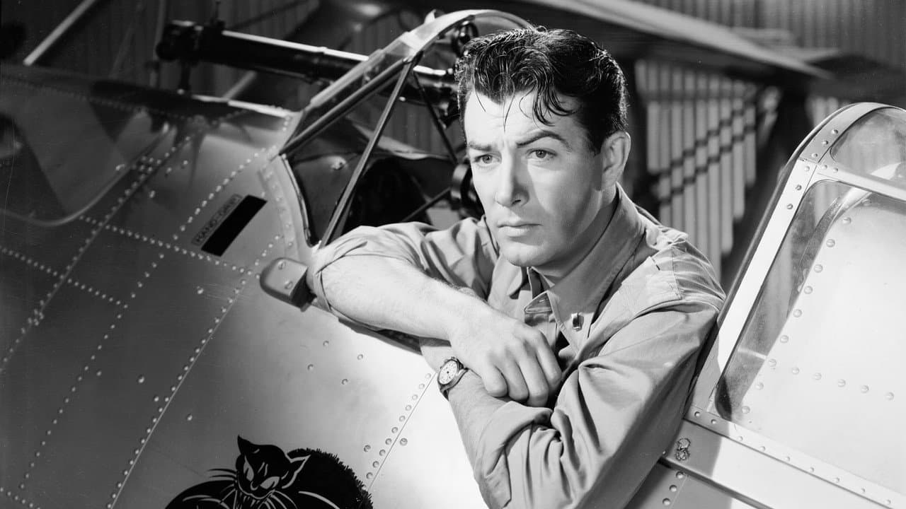 Flight Command still 2