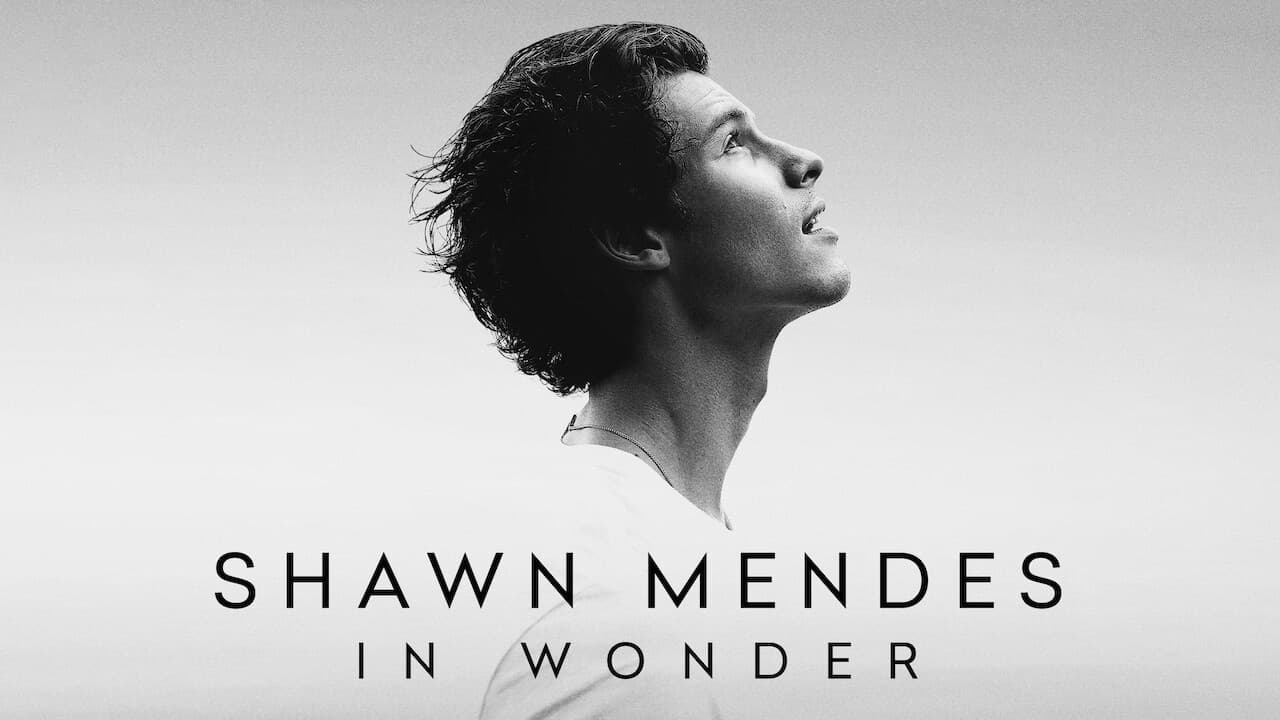 Shawn Mendes: In Wonder still 6