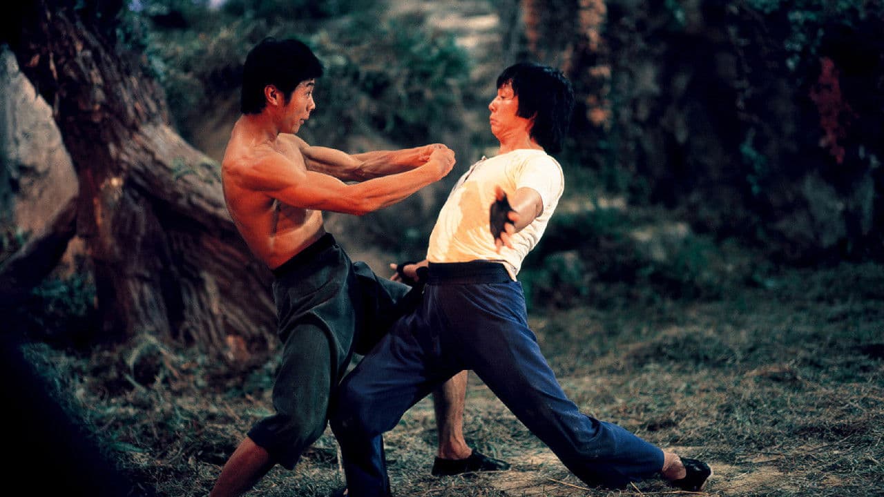 Mad Monkey Kung Fu still 3