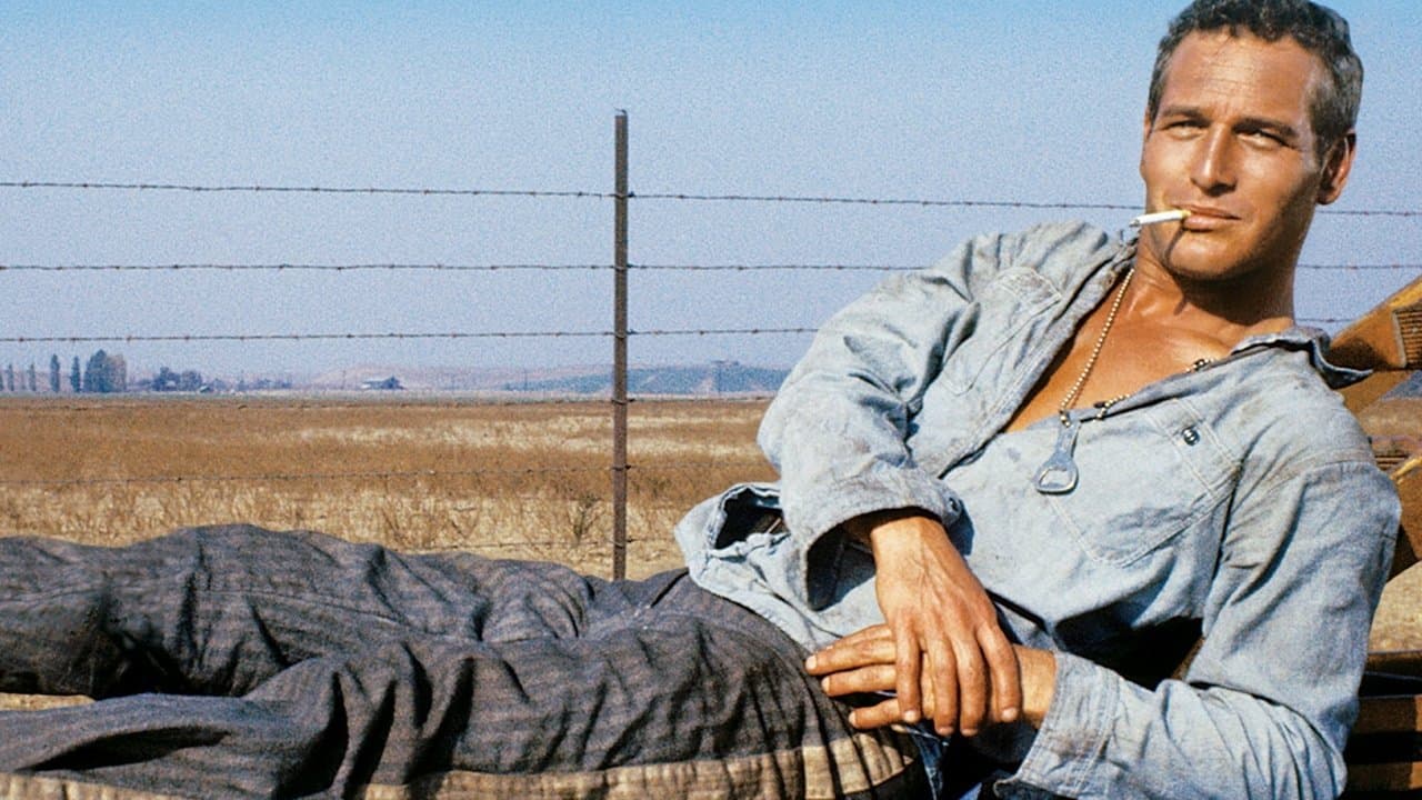Cool Hand Luke still 5