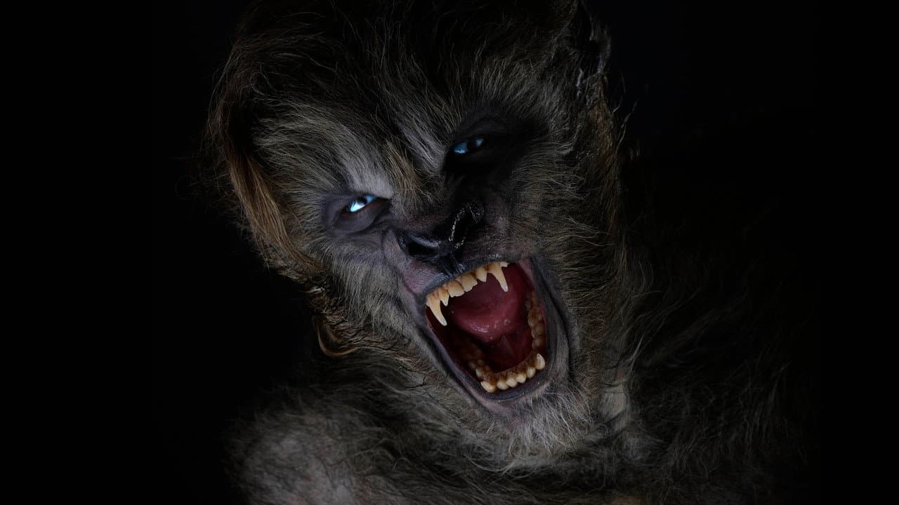 Wolves still 2