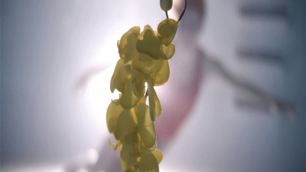 Upstream Color still 4