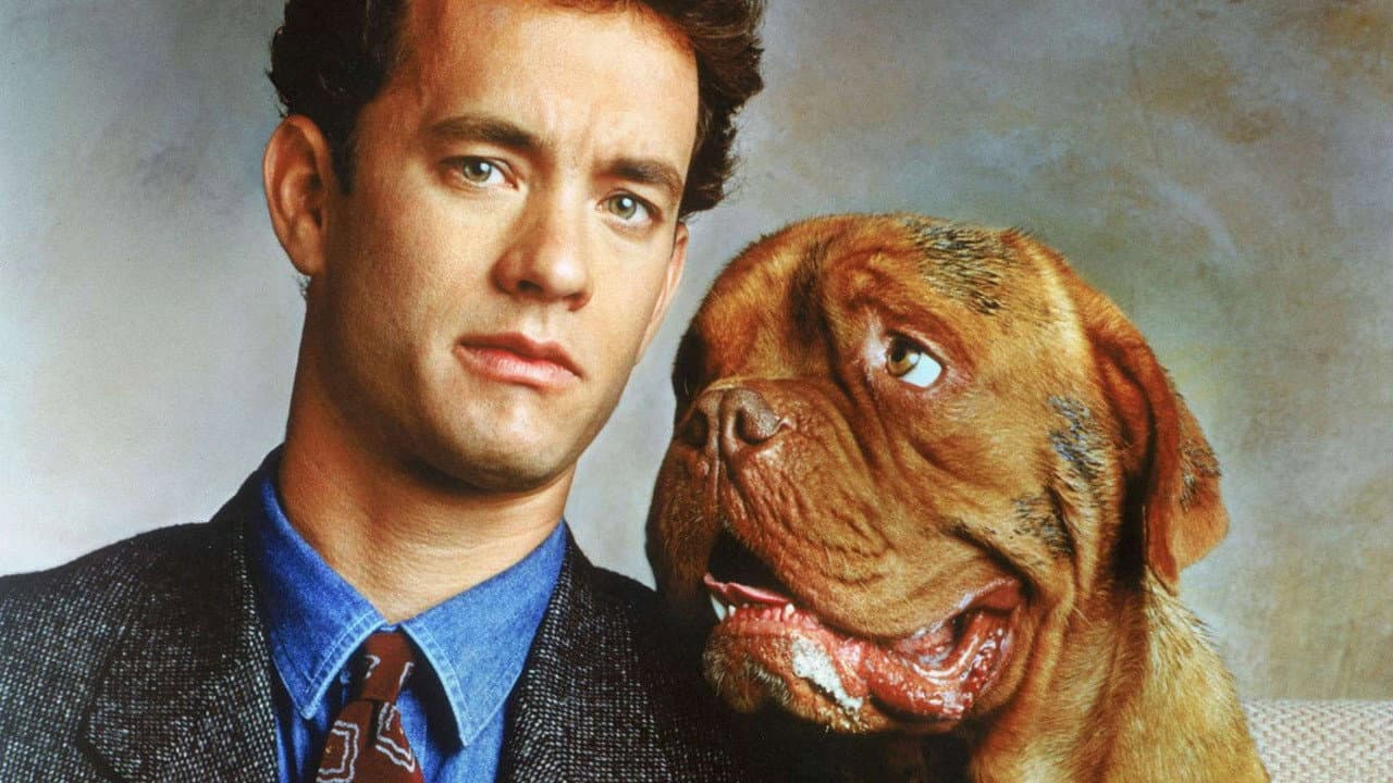 Turner & Hooch still 4