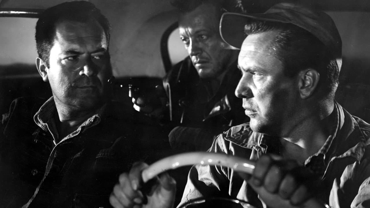 The Hitch-Hiker still 5