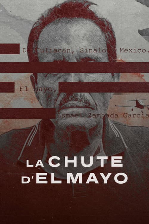 The Fall of El Mayo Review: Netflix's Gripping True-Crime still 7