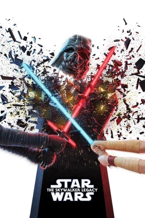 The Skywalker Legacy still 7
