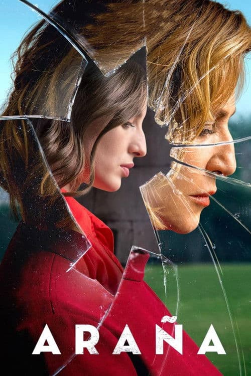 Spider still 3