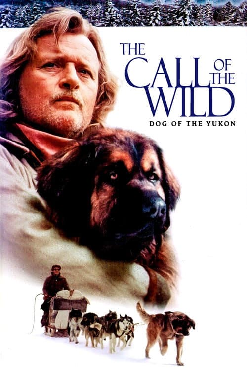 The Call of the Wild: Dog of the Yukon still 4