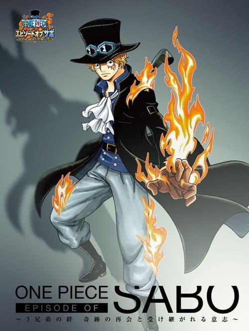 One Piece Episode of Sabo: The Three Brothers' Bond - The Miraculous Reunion and the Inherited Will still 4