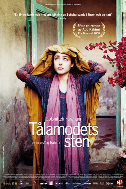 The Patience Stone still 7