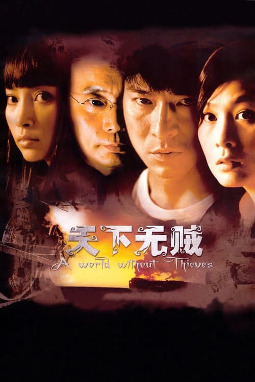 A World Without Thieves still 7