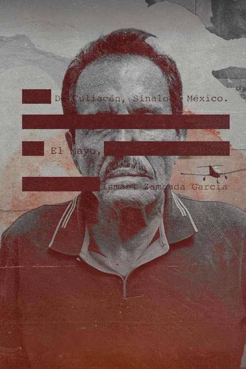 The Fall of El Mayo Review: Netflix's Gripping True-Crime still 8