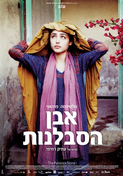The Patience Stone still 5