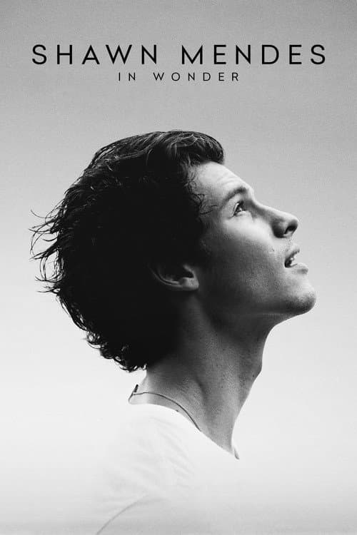 Shawn Mendes: In Wonder still 7