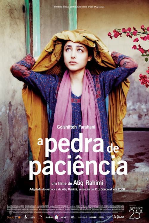 The Patience Stone still 4