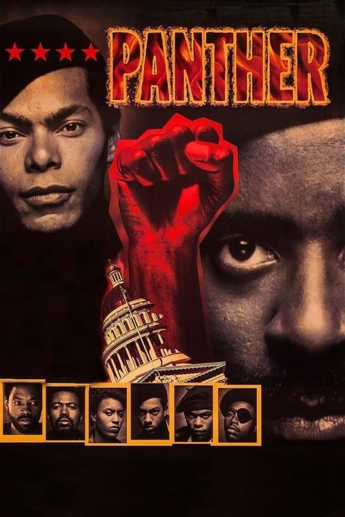 Panther still 3