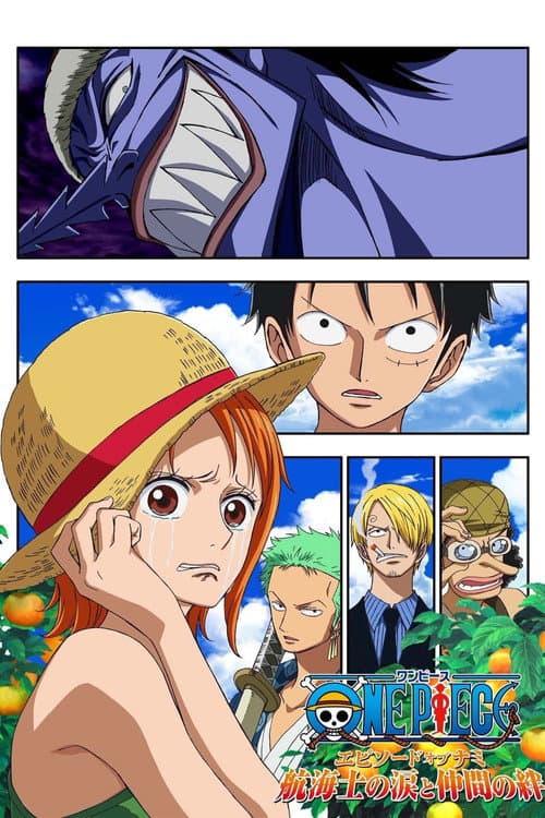 One Piece Episode of Nami: Tears of a Navigator and the Bonds of Friends still 6