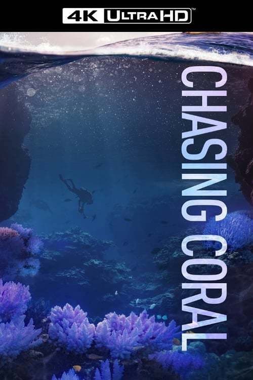 Chasing Coral still 5