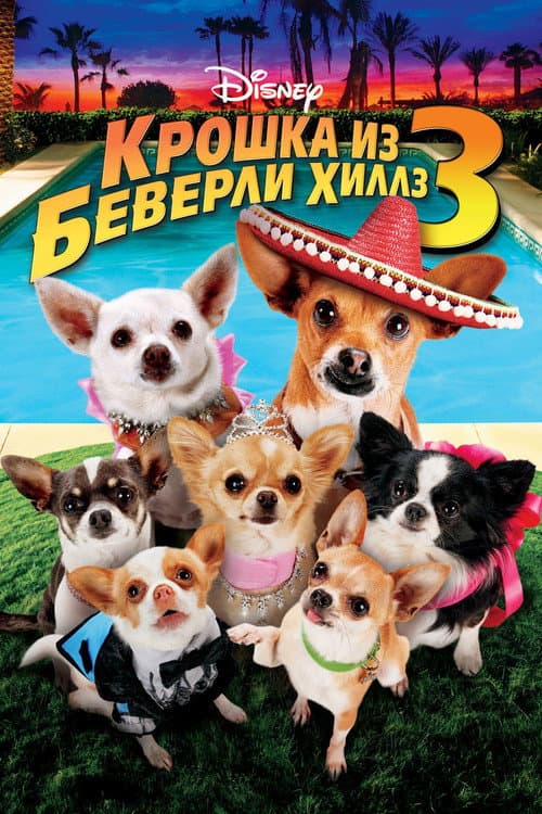 Beverly Hills Chihuahua 3: Viva la Fiesta! still 7