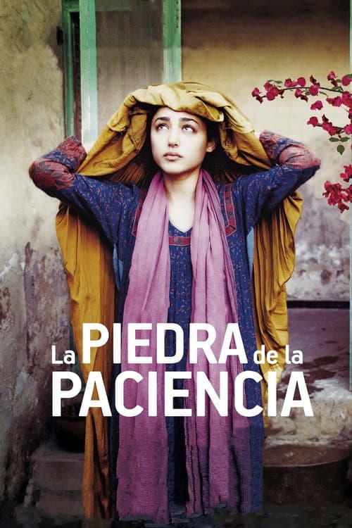 The Patience Stone still 3