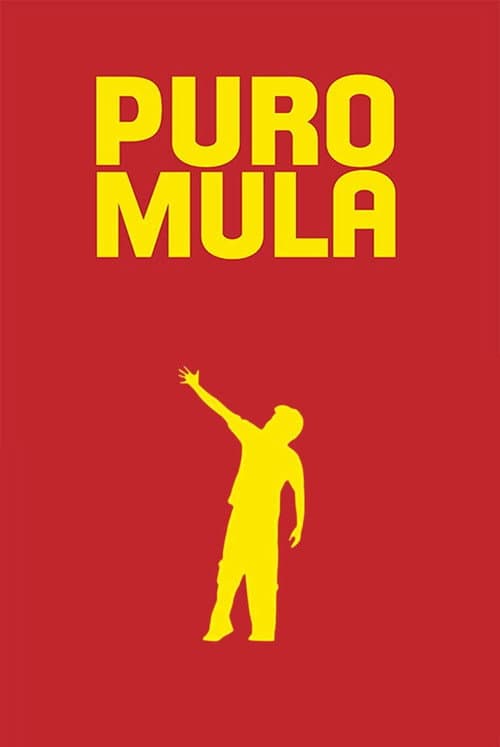 Puro Mula still 2