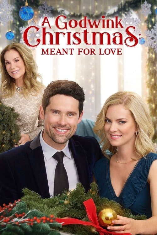 A Godwink Christmas: Meant For Love still 5