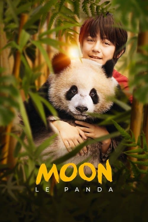 Moon the Panda still 8