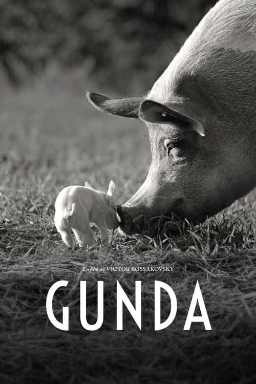 Gunda still 7