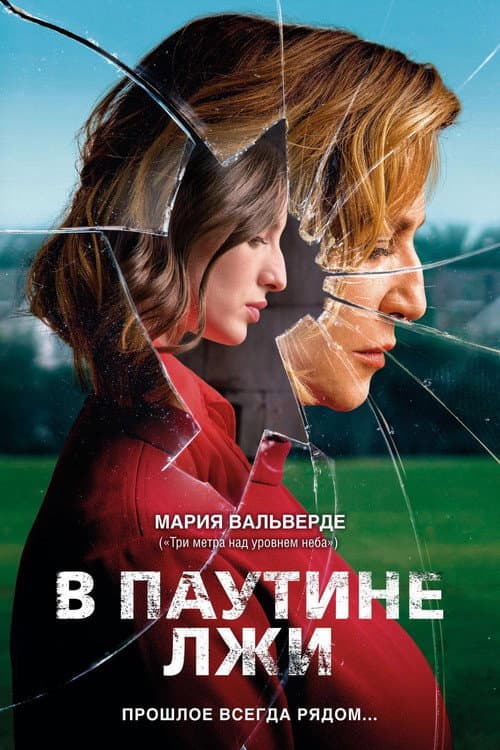 Spider still 4