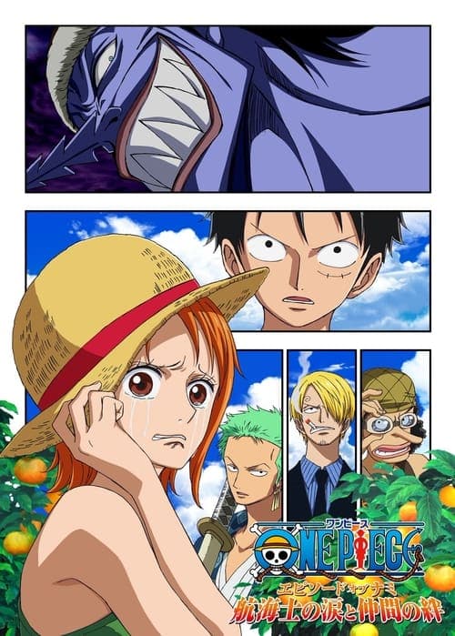 One Piece Episode of Nami: Tears of a Navigator and the Bonds of Friends still 5