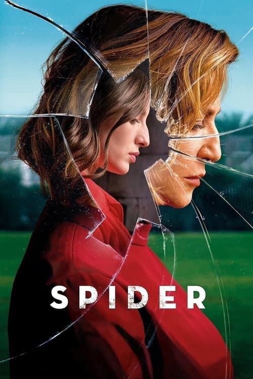 Spider still 5