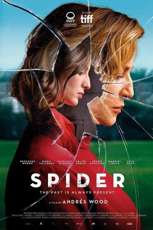 Spider still 7