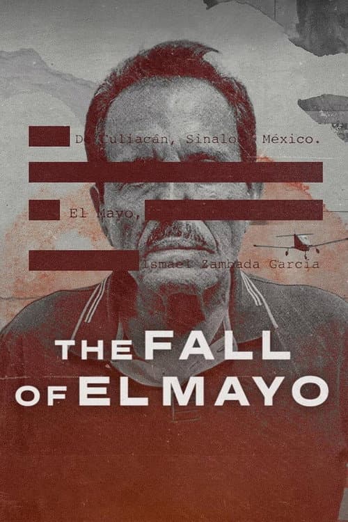 The Fall of El Mayo Review: Netflix's Gripping True-Crime still 4