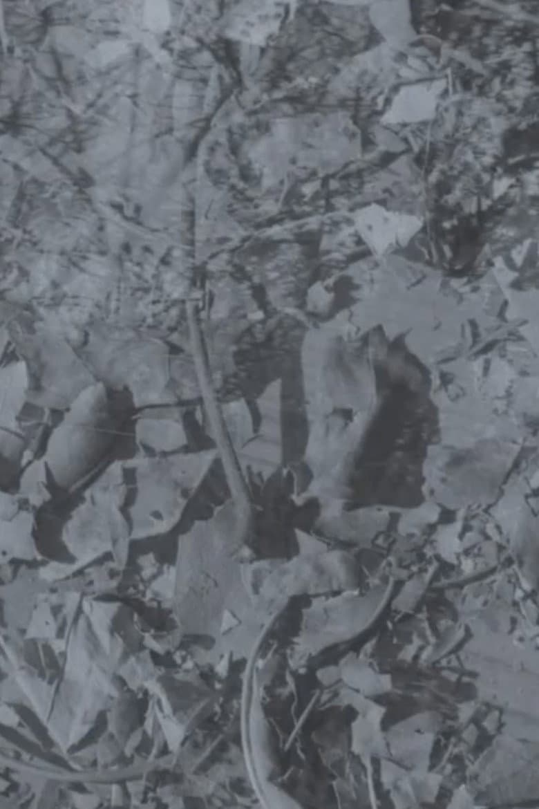 Autumns Decay: The Mystery Film Nobody Knows About