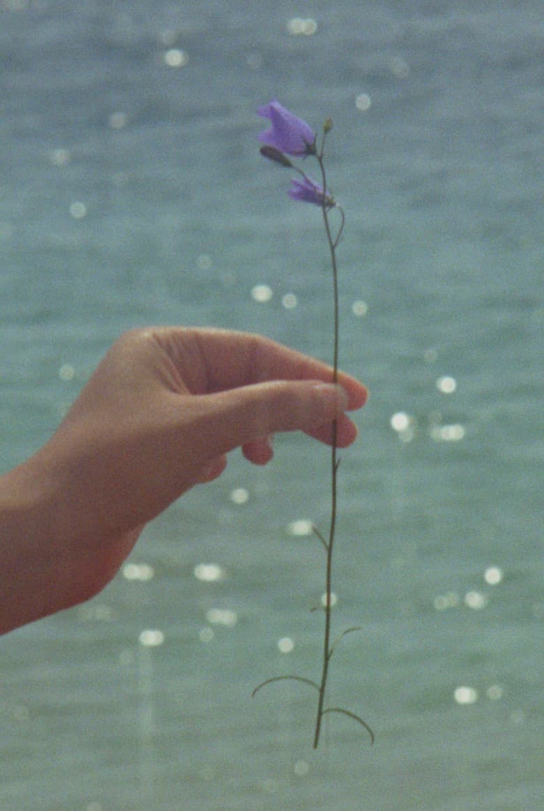 Loinnir (2025): Irish Road Trip Film Review & Festival