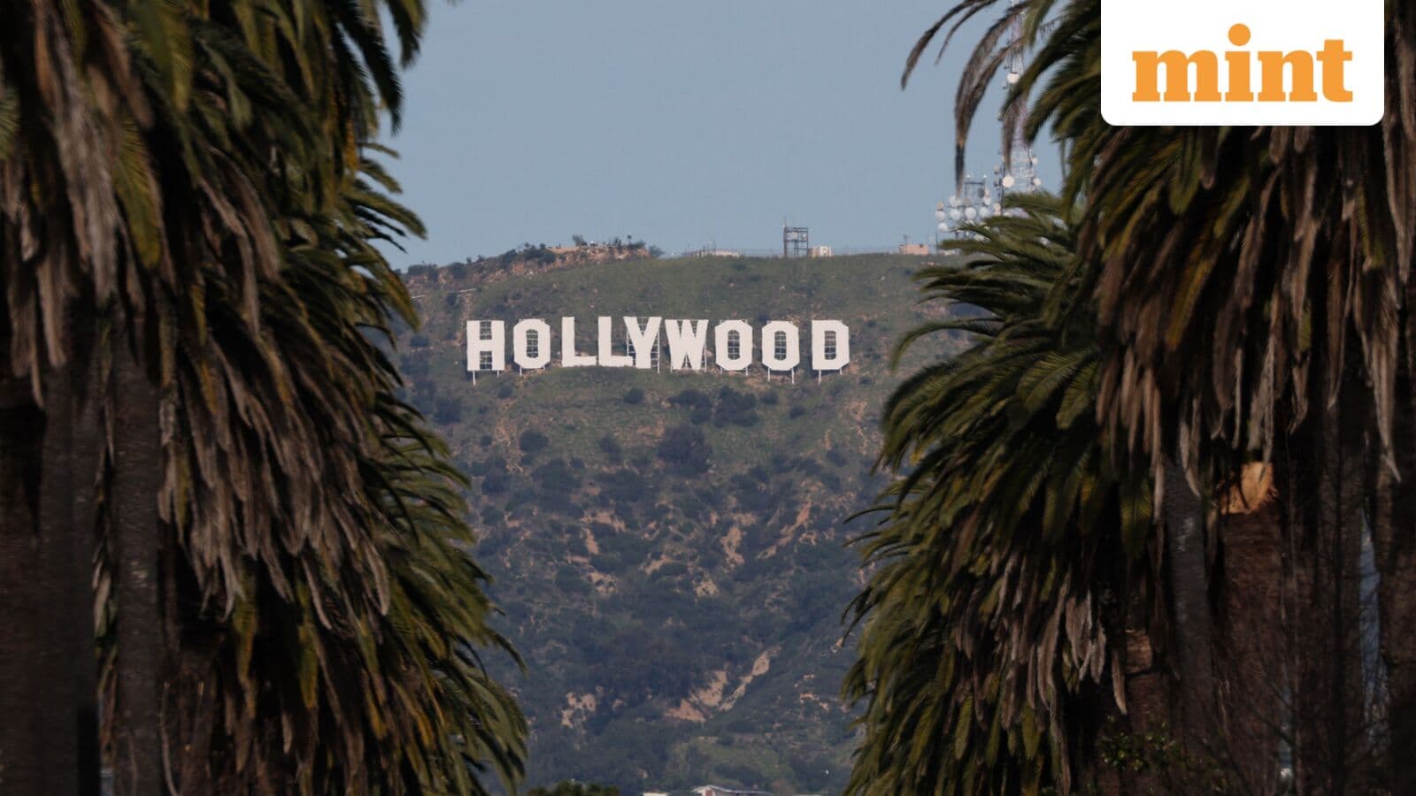 Does Nepotism Really Matter in Hollywood?