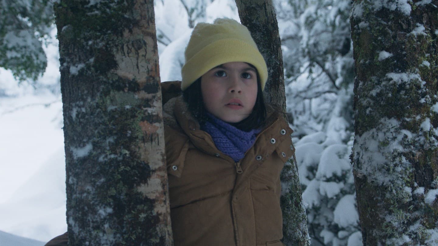 The Meltdown: Movie Review & Release Date