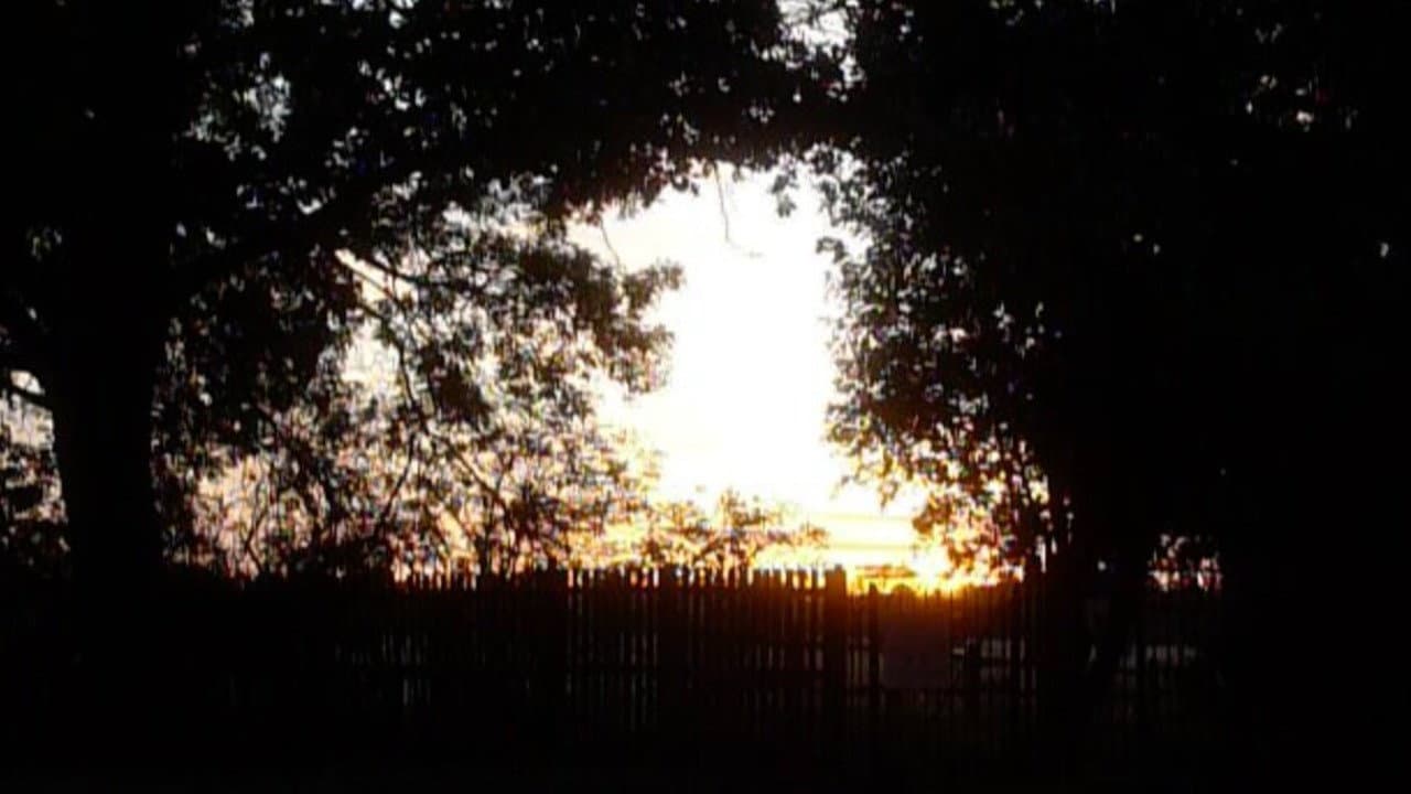 Garden Sanctuary (2026): A Walk Turned Into a Film