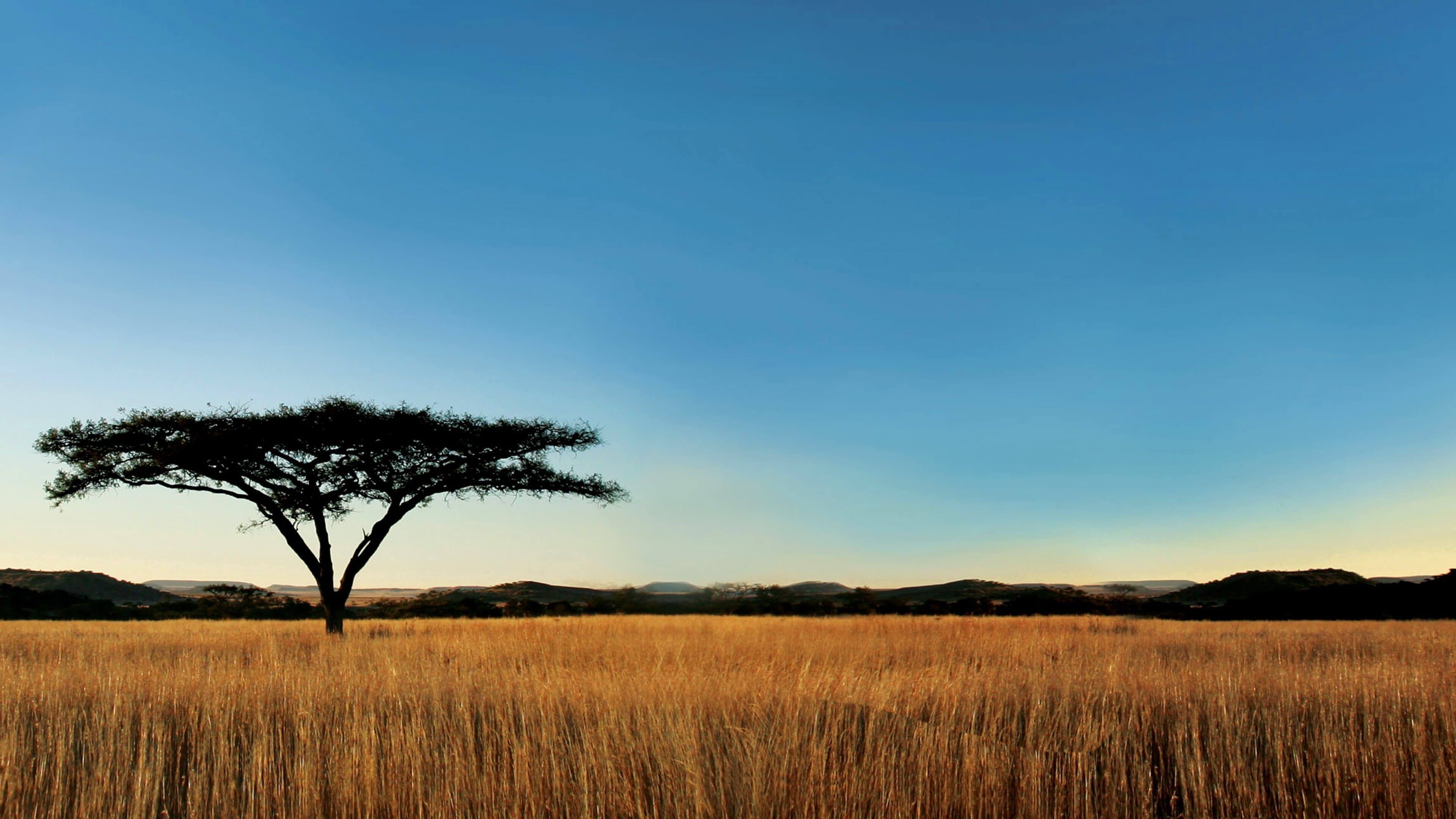 Nature Season 45 Review: PBS Wildlife Doc Still Soars