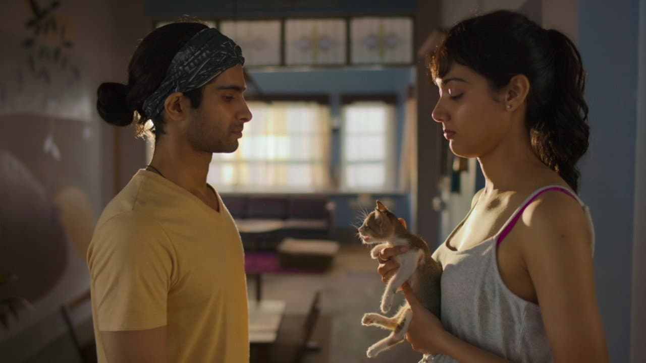 Why Max, Min & Meowzaki Is Your Next Rom-Com Obsession