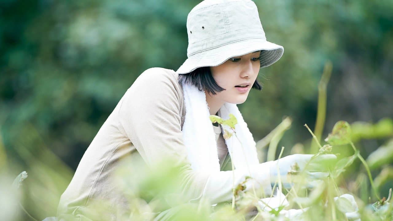 Little Forest: Summer/Autumn still 1