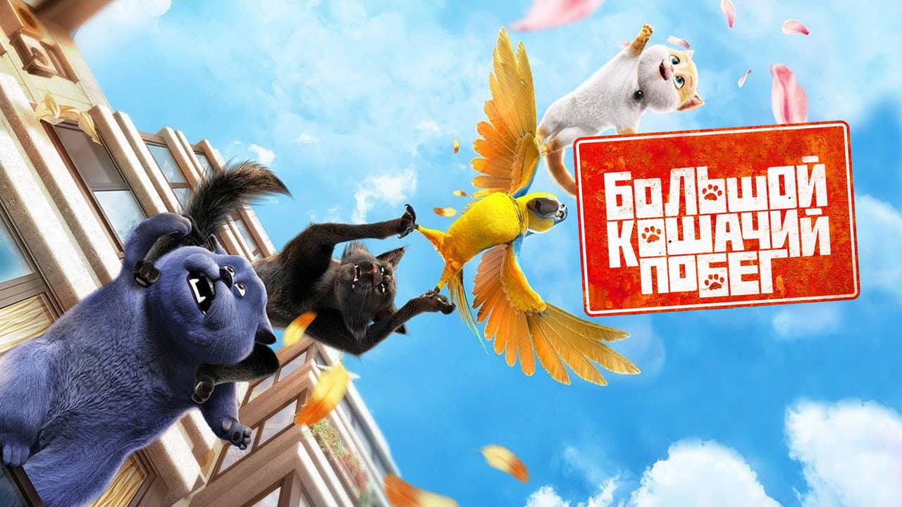 Cats still 7