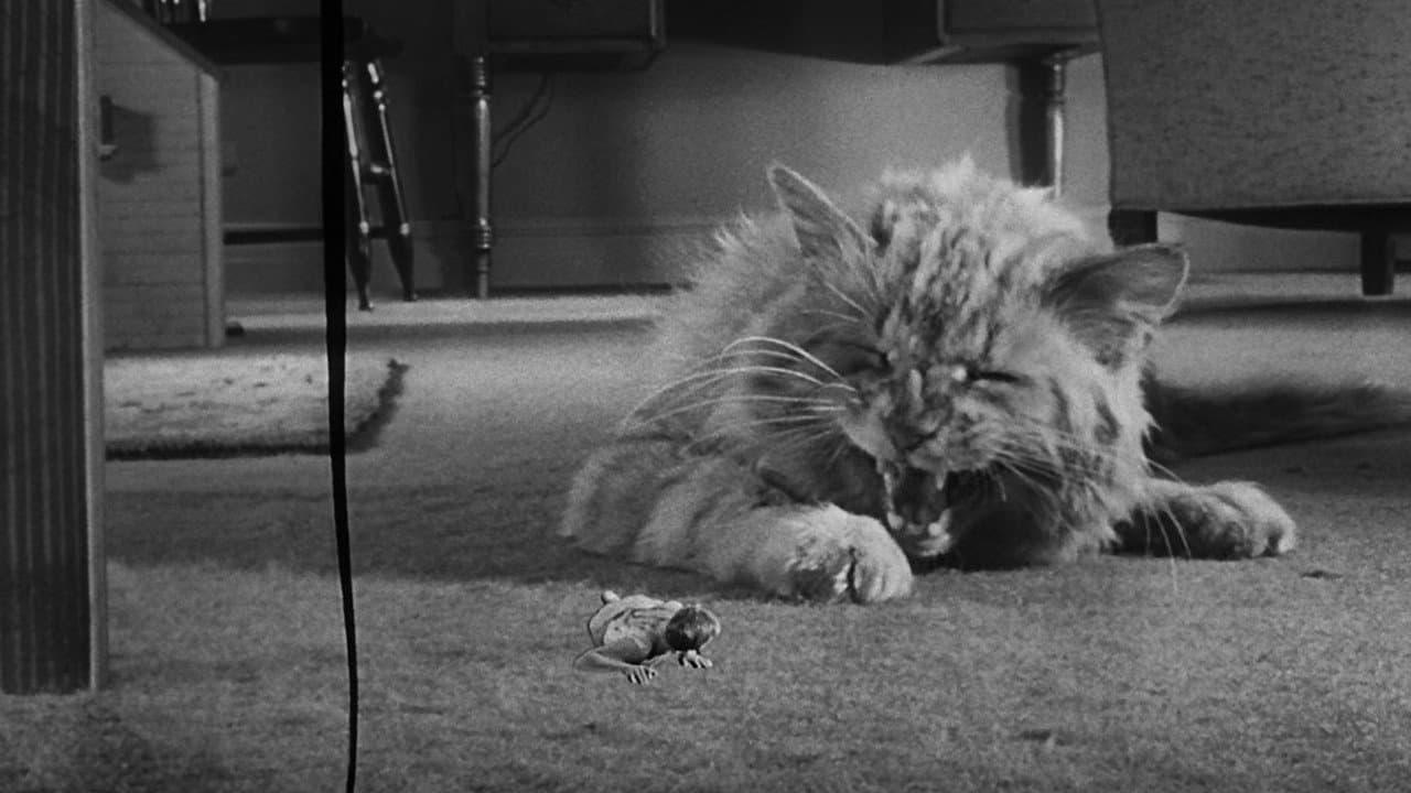 The Incredible Shrinking Man still 4